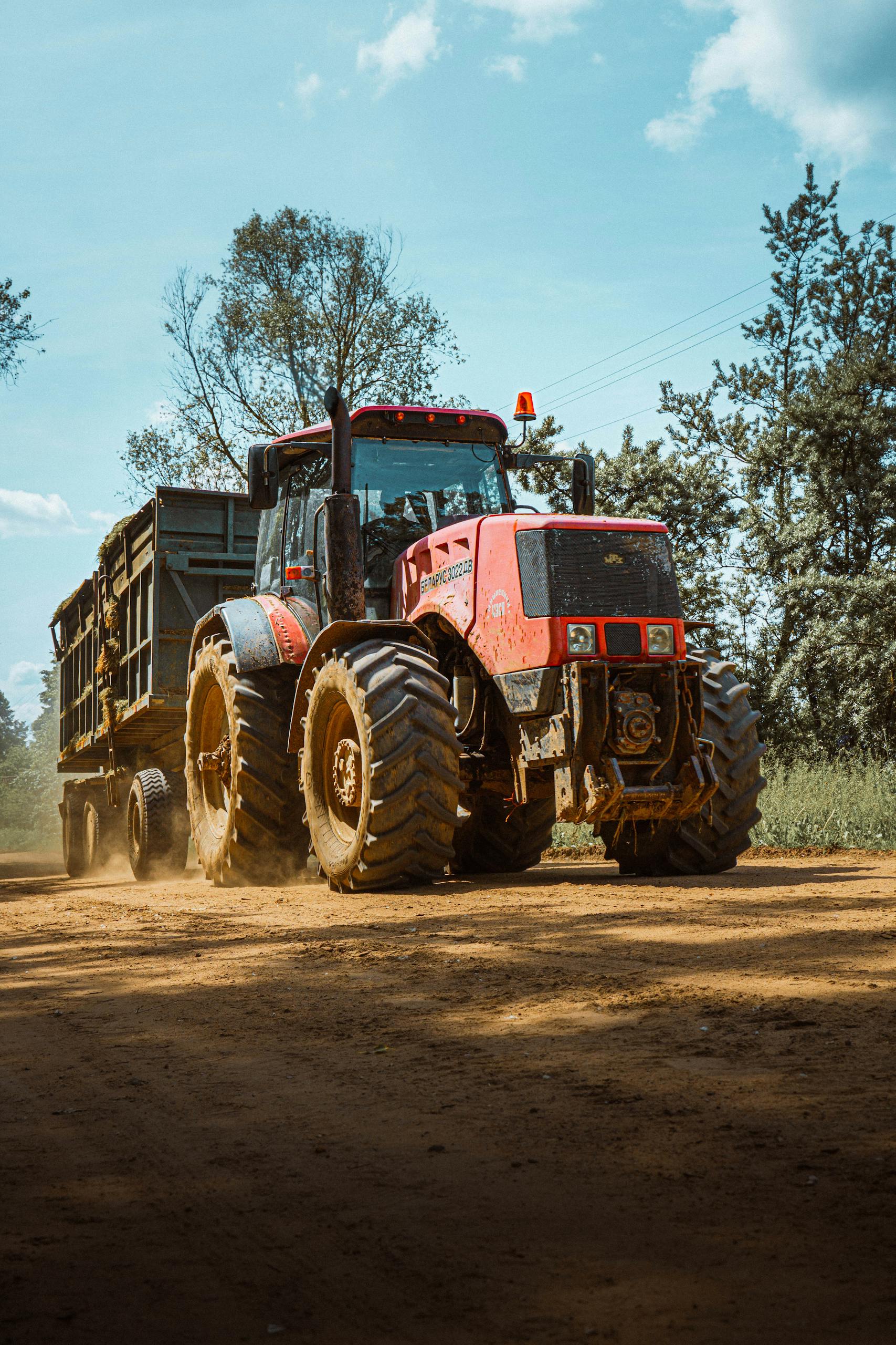 A red tractor with a trailer moves along a dusty road in the Belarusian countryside.