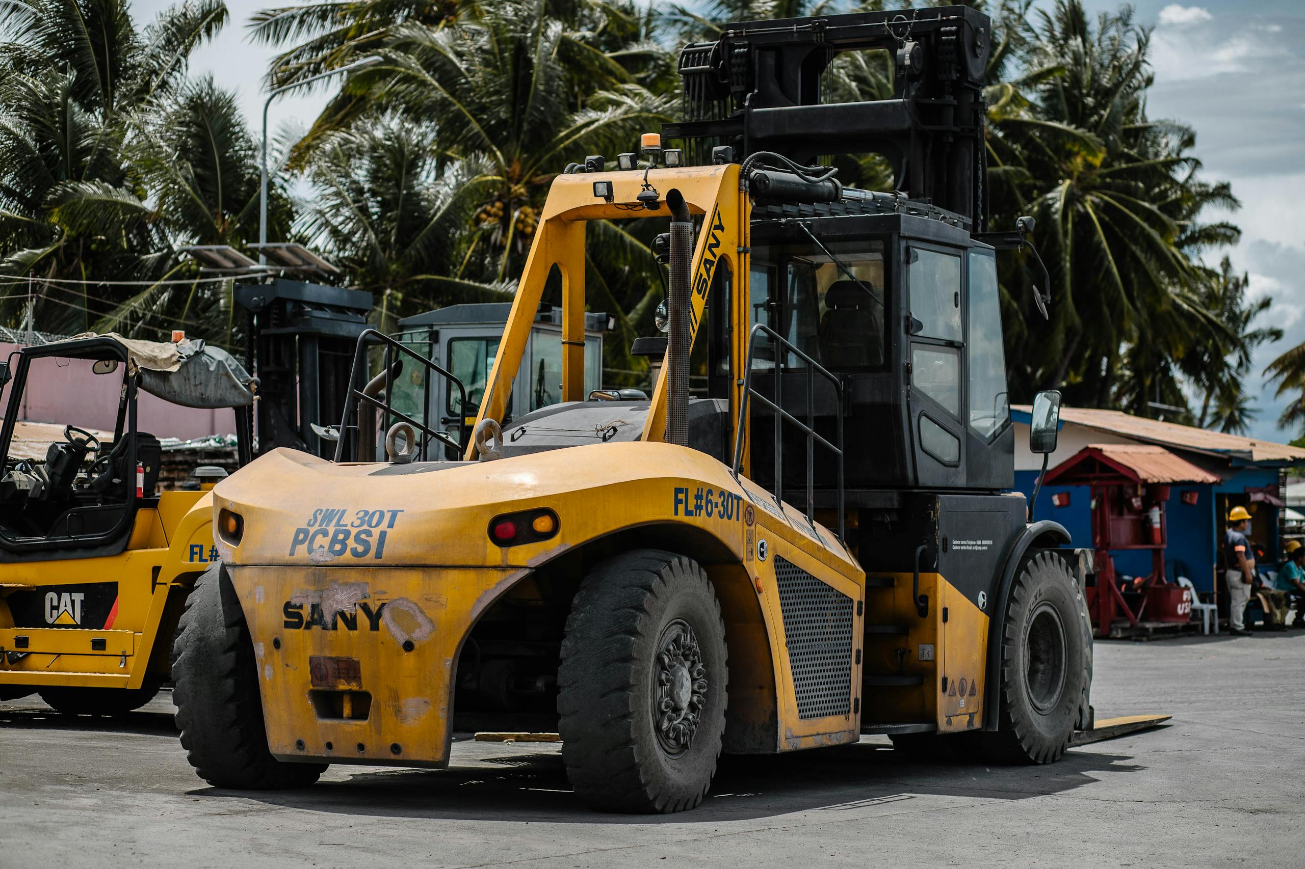 Heavy-duty forklift parked among tropical palm trees in a sunny storage area.